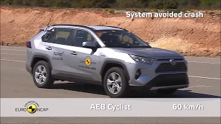 2019 Toyota RAV4   CRASH TEST Very Safety Adventure SUV