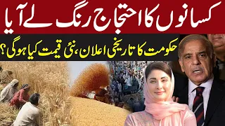 Wheat Price In Pakistan 2024 | Wheat Price Latest Updates | Breaking News