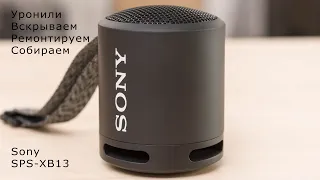 Разборка и ремонт динамика Sony SRS-XB13