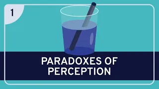 PHILOSOPHY - Epistemology: Paradoxes of Perception #1 (Argument from Illusion) [HD]