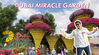 World's Largest Natural Flower Garden 2023: Dubai Miracle Garden | Facts & Opening Date