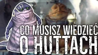 Co musisz wiedzieć o HUTTACH?  🐸