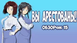 |ОбзорЧИК#15| Вы арестованы! | Taiho Shichau zo