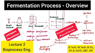 Fermentation Process | Upstream Processing | Downstream Processing @biotechnotebook