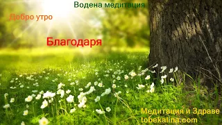❤️Сутрешна медитация за благодарност/Водена медитация с Калина Стефанова