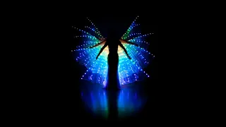 Belly Dancers Sabihah Stars dance with LED WINGS to Crystalise