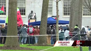 Students storm Harvard Yard amid pro-Palestine protest