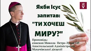 Якби Ісус запитав: «Ти хочеш миру?»Проповідь: єпископ Микола  Петро Лучок ОР