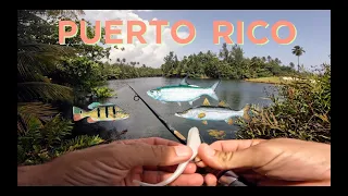 Sneaking onto a Luxury Golf Course for AMAZING Fishing!