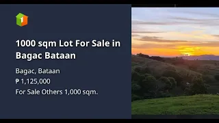 1000 sqm Lot For Sale in Bagac Bataan