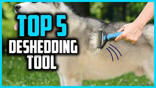 ✅Top 5 Best Deshedding Tool for dogs in 2024