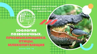 ЕГЭ по биологии. Занятие 16. Зоология позвоночных. Пресмыкающиеся. Птицы. Млекопитающие