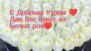 Юра Шатунов,Белые розы для Вас ♥️ Прекрасного Вам нового дня ❤️ Музыкальная открытка и Белые розы ♥️