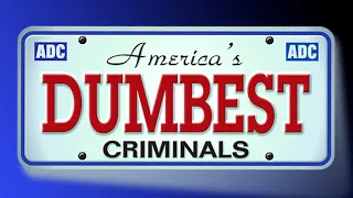 America's Dumbest Criminals | Season 4 | Episode 20 | Confetti Money