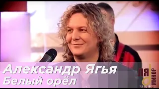 Александр Ягья — Белый орёл (LIVE, 2012)