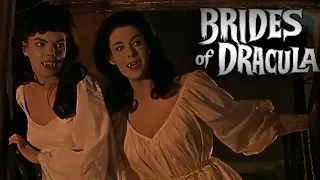 The Brides of Dracula:  The Vampiress Film Recap