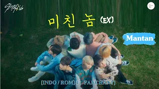 [SUB INDO] Stray Kids - 미친 놈 (Ex) feat. STAY Guide. (easy lyric)