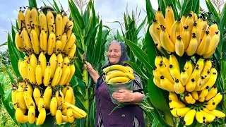 Lots of Fresh Banana Jam! Preparing Amazing Rustic Fruit Flavor for Winter!