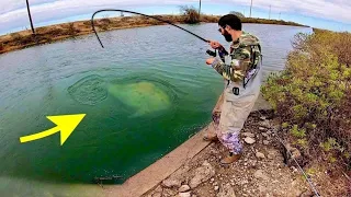 The BIGGEST SPILLWAY MONSTER I've EVER SEEN!!! (INSANE)