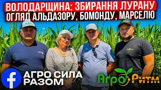 ЛУРАН 76Ц|ГА НА ВОЛОДАРЩИНІ! ОГЛЯД АЛЬДАЗОРУ З ФЕЙСБУК-ЕКСПЕРТОМ!