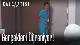 Gerçekleri öğreniyor!