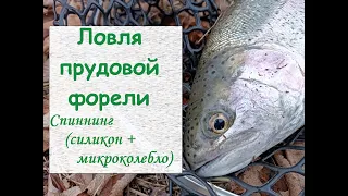 Ловля прудовой форели.  Спиннинг (силикон + микроколебло)