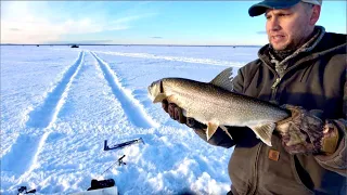 Ice Fishing for LAKE TROUT and PIKE in Northern Alberta!