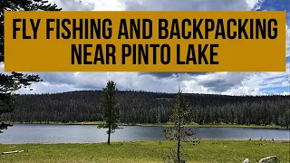 Fly Fishing And Backpacking Near Pinto Lake