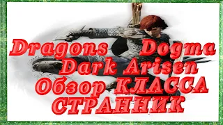 Dragons Dogma Dark Arisen Обзор КЛАССА СТРАННИК