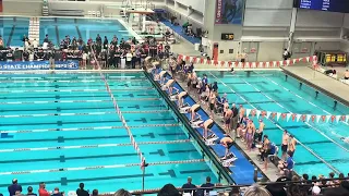 Keller's INSANE 2:53 400 Free Relay National High School Record, Williamson 41.8 100 Free