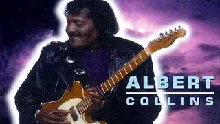 IF TROUBLE WAS MONEY - Albert Collins