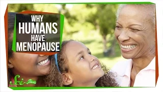 Why Do Humans Have Menopause?