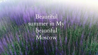 Beautiful summer in My Beautiful Moscow