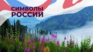 Символы России. 5-7 класс. Разговоры о важном.