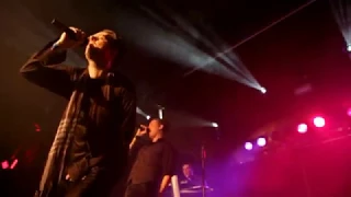!distain -  why (bootlicking hypocrites) / (live in Cologne)