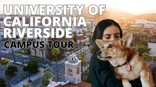 UC Riverside Campus Tour - Walk with Me Around the College in 4K | University of California