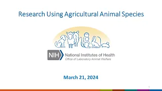 OLAW Webinar: Research Using Agricultural Animal Species