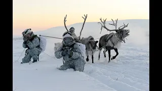 Virtual Event | Russia in the Arctic