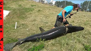 CATCHING a WHALE in MUDDY Freshwater Canal!