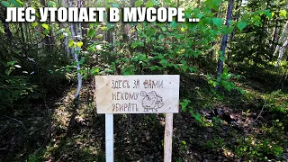 Как бороться с МУСОРОМ в ЛЕСУ? / Проводим ЭКСПЕРИМЕНТ / Присоединяйтесь!