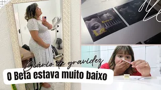 DIÁRIO DE GRAVIDEZ PRIMEIRO TRIMESTRE: BETA HCG BAIXO E GRAVIDEZ EVOLUIU, medos e enjoos.