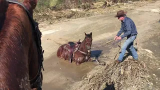 Trapped in Quicksand