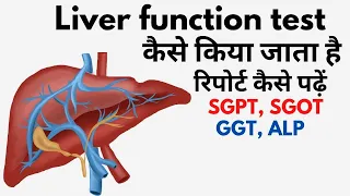 Liver function test in Hindi | lft blood test result in Hindi | lft  normal range