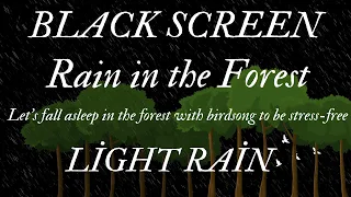 Fall asleep to the sound of rain and forest sounds - Black Screen nature rain sound and bird sound