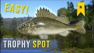 RUFFE THROPY spot (MOSQUITO LAKE)- Russian Fishing 4