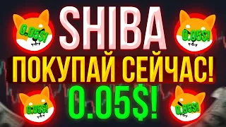 МАССИВНОЕ СЖИГАНИЕ ШИБА! ЭТИ НОВОСТИ ВАС ТОЧНО УДИВЯТ