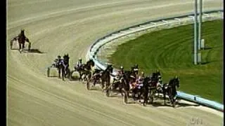 1984 Confederation Cup - Flamboro Downs