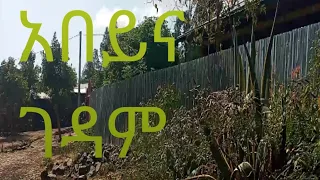 #ዛሬ አበይና ገዳም እስኪ በትንሹ ላሥቃኛችሁ ገዳም ቆቂትም ለናፈቀው ላስቃኛችሁ