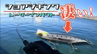 【ショアジギング】この輝き、止められないッ!!!【レーザーインパクト】