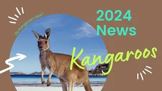 Kangaroo News 2024